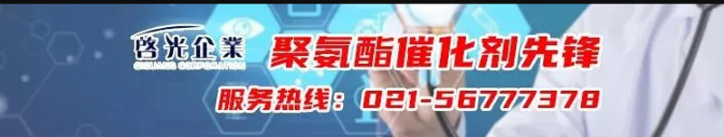 西城区蓝狮注册集团强力推荐 | 催化剂QG CAT R208LE