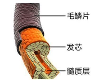 云林县深度剖析|无硅油VS含硅，洗发水究竟怎么选？