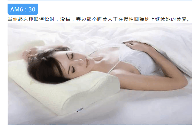 枣庄市海绵的一天