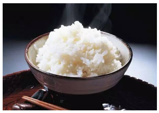 酶——生物化学反应的催化剂